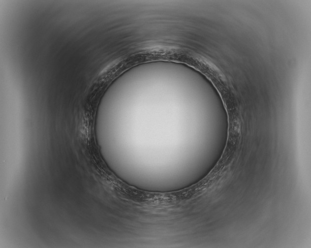 X0000113340869200909221121