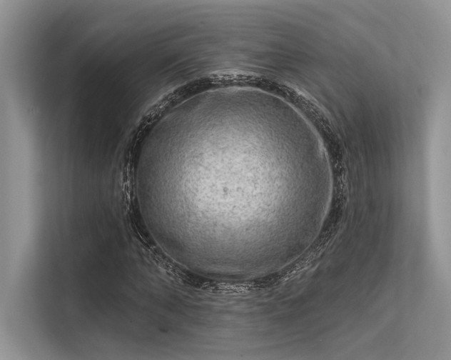 X0000113340870200909221121