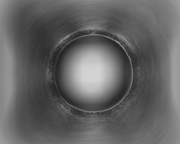 X0000113340872200909221121