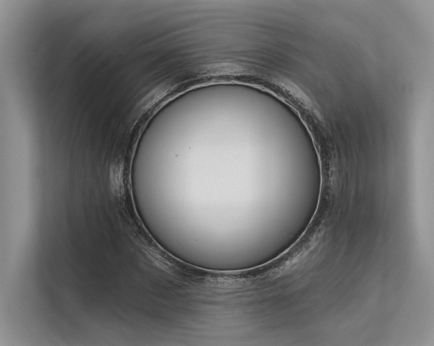 X0000113340873200909221121