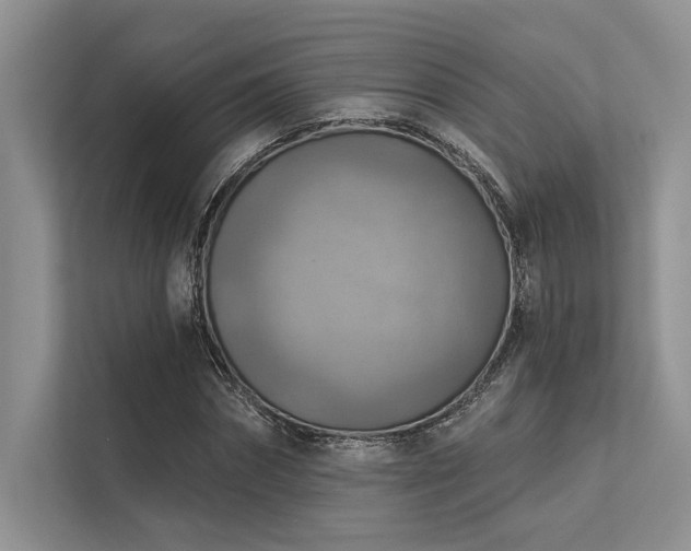 X0000113340874200909221121