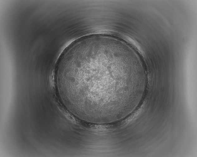 X0000113340875200909221121