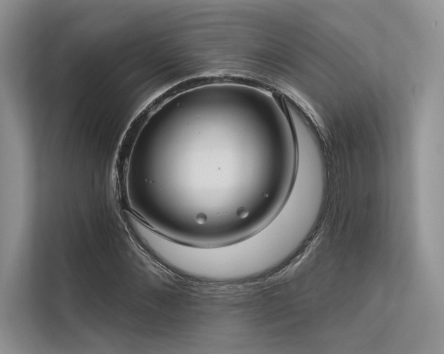 X0000113340876200909221121