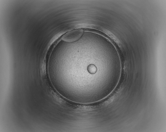 X0000113340877200909221121