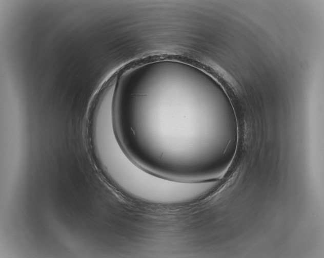 X0000113340878200909221121