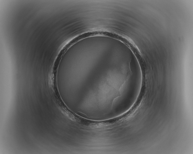 X0000113340879200909221121