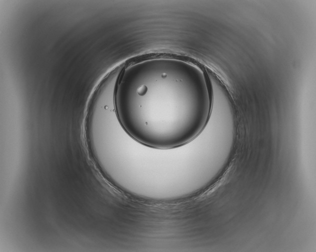 X0000113340880200909221121