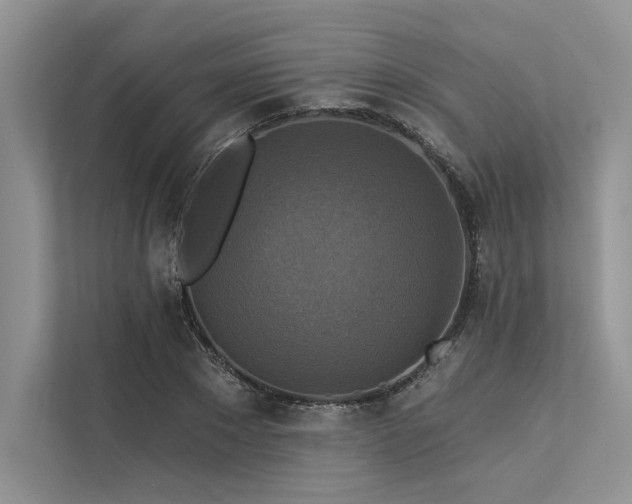 X0000113340881200909221121