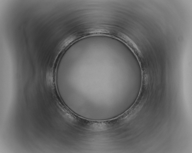 X0000113340882200909221121