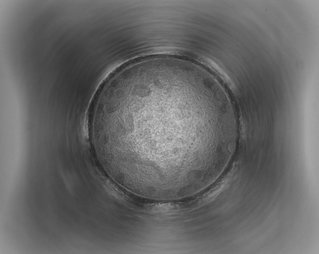 X0000113340883200909221121