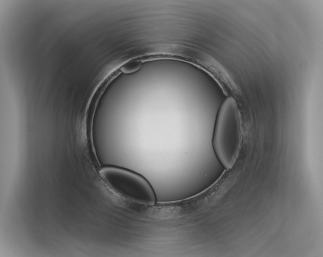 X0000113340884200909221121