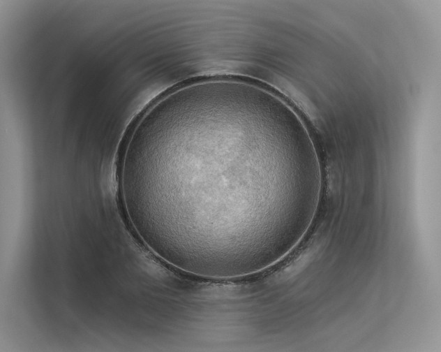 X0000113340885200909221121