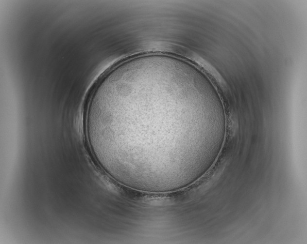 X0000113340886200909221121