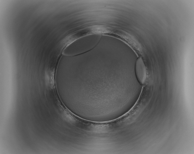 X0000113340889200909221121