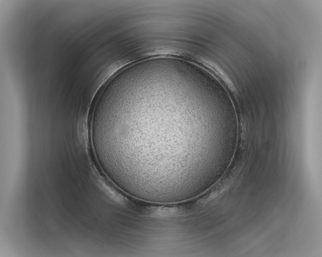 X0000113340890200909221121