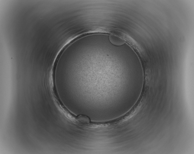 X0000113340892200909221121