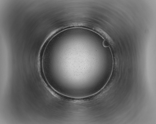 X0000113340894200909221121