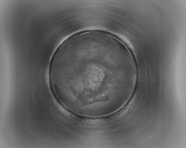 X0000113340895200909221121