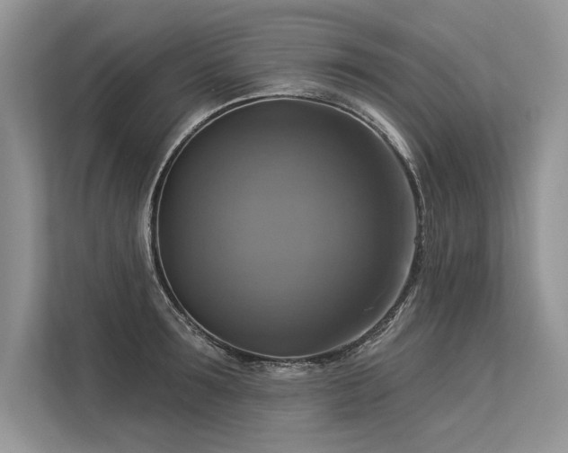 X0000113340899200909221121