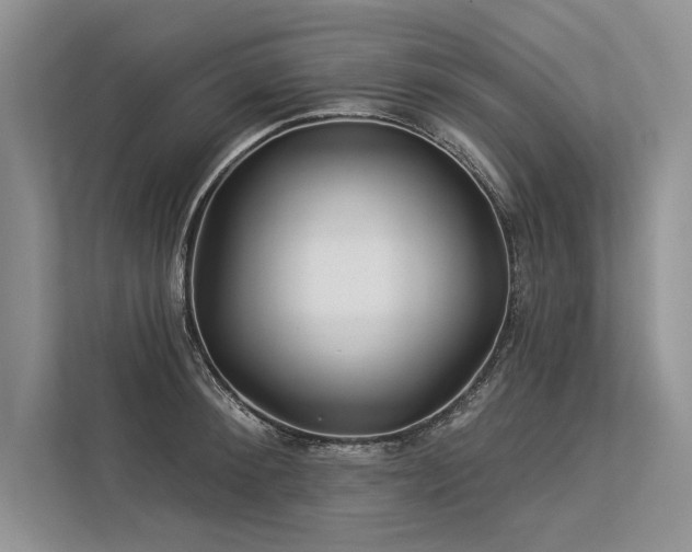 X0000113340900200909221121