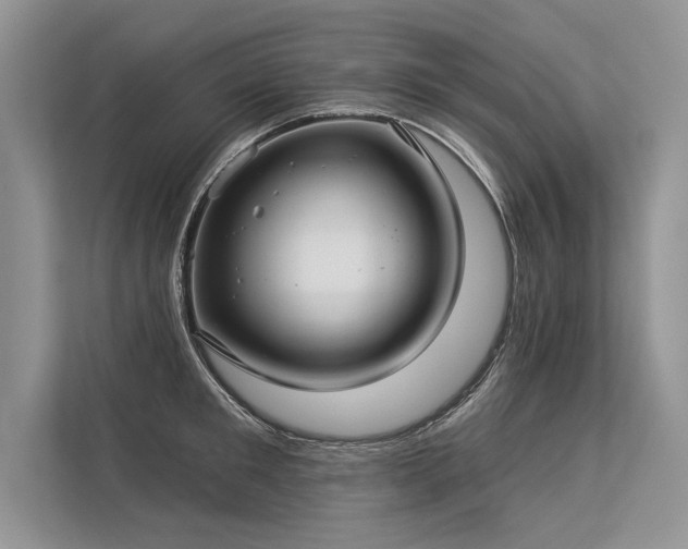 X0000113340901200909221121