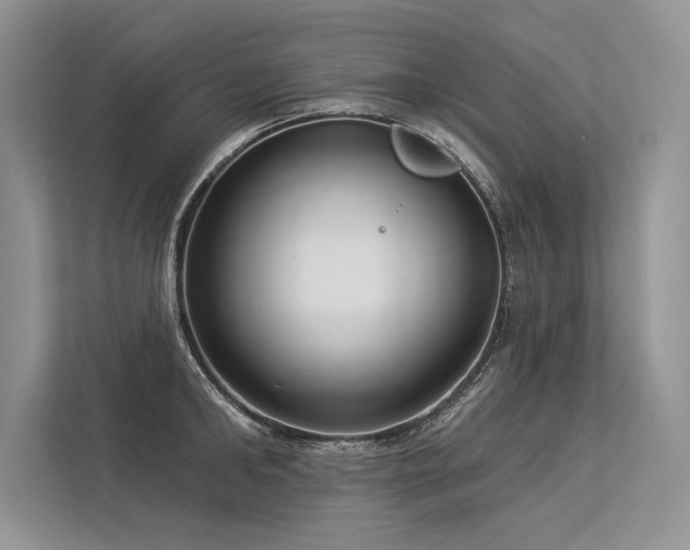 X0000113340902200909221121