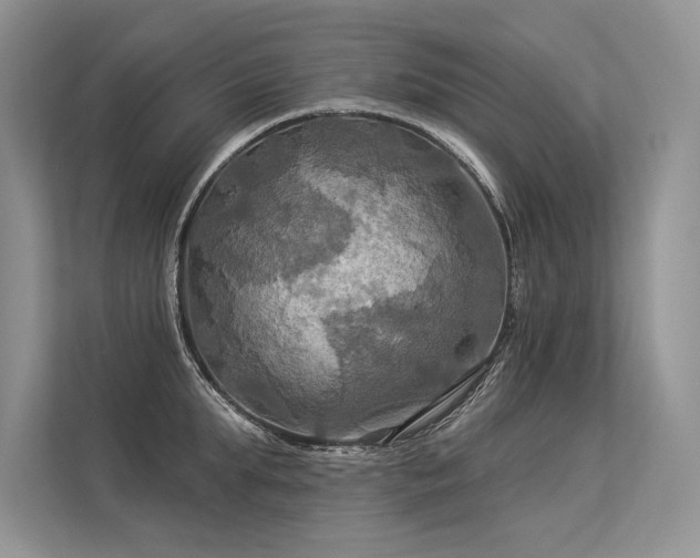 X0000113340903200909221121