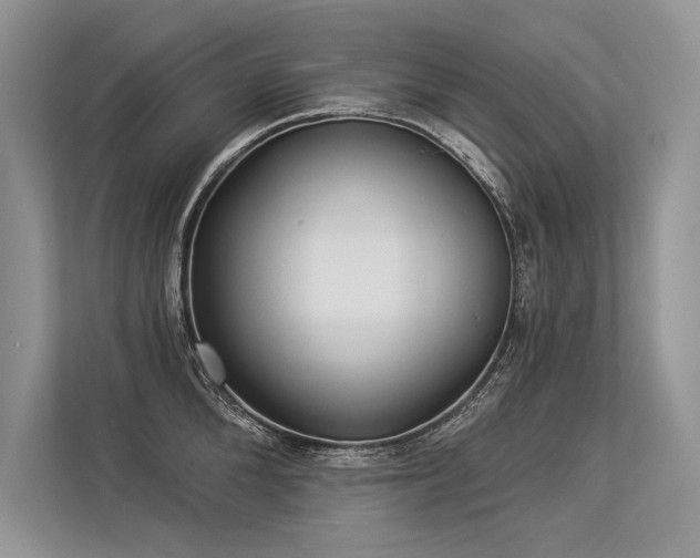 X0000113340904200909221121