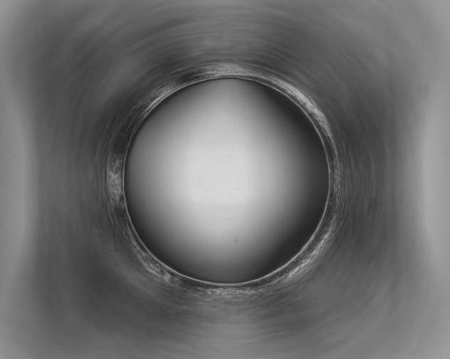 X0000113340905200909221121