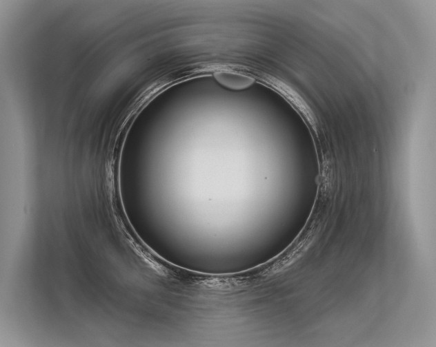 X0000113340906200909221121