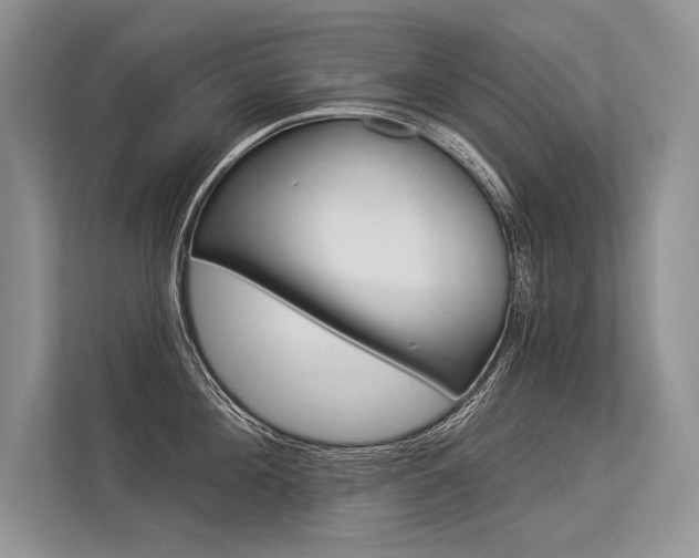 X0000113340908200909221121