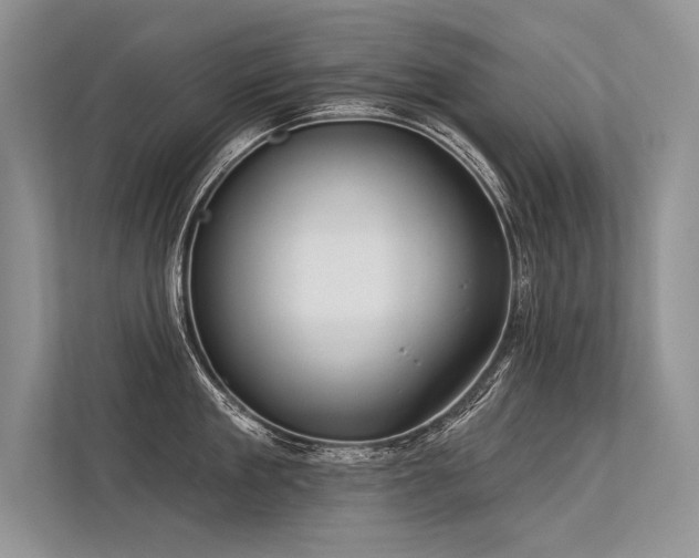 X0000113340909200909221121