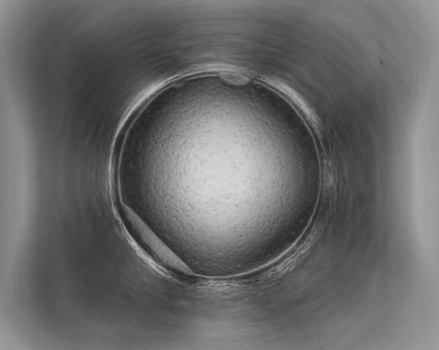 X0000113340910200909221121