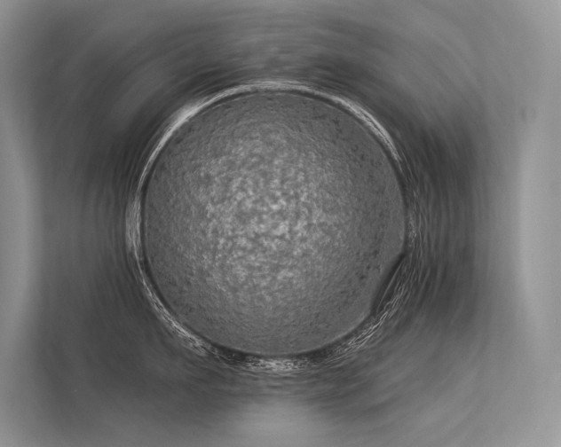 X0000113340911200909221121