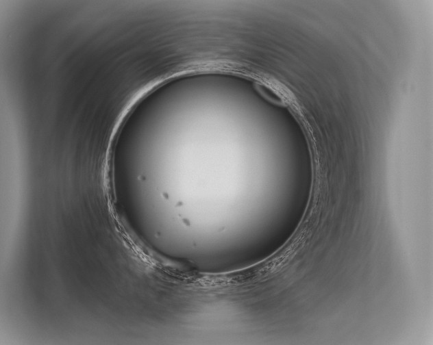 X0000113340912200909221121