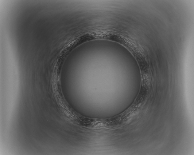 X0000113340913200909221120