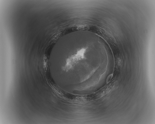 X0000113340914200909221120