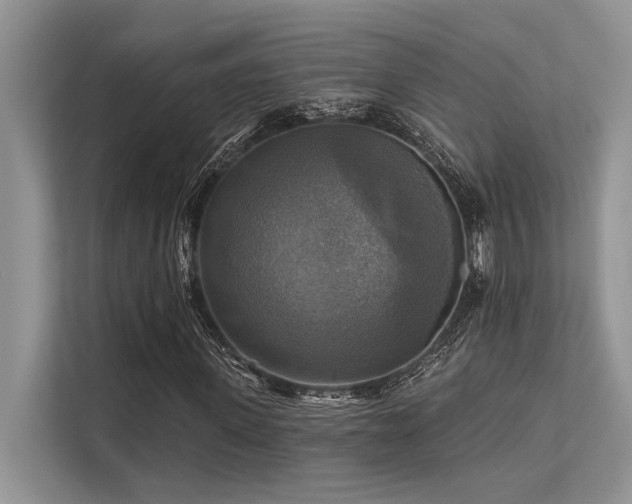 X0000113340915200909221120