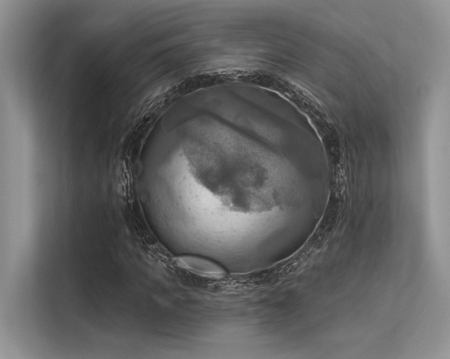 X0000113340917200909221120