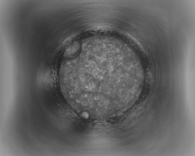 X0000113340918200909221120