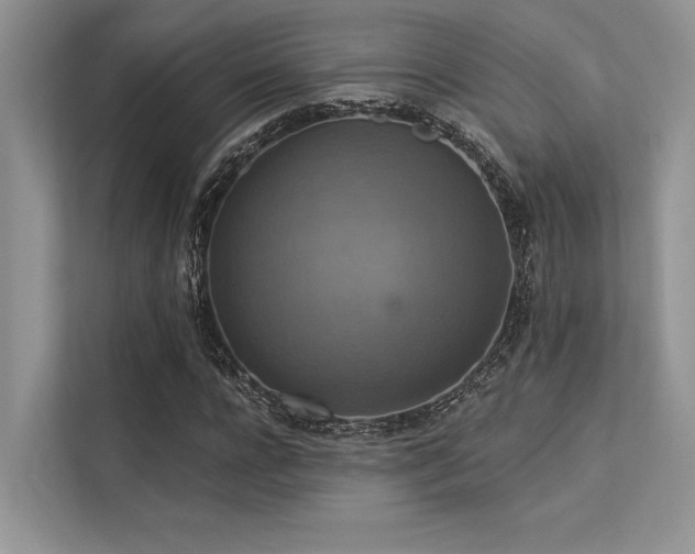 X0000113340920200909221120