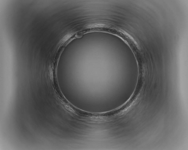 X0000113340921200909221120