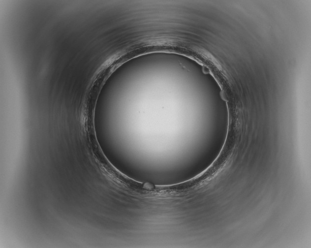 X0000113340922200909221120