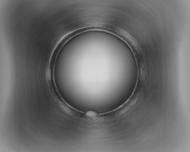 X0000113340924200909221120