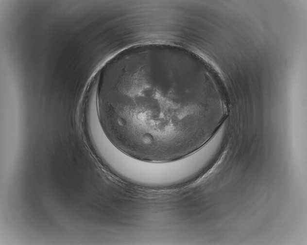 X0000113340925200909221120