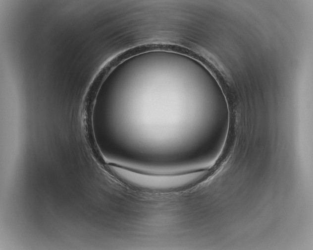 X0000113340926200909221120