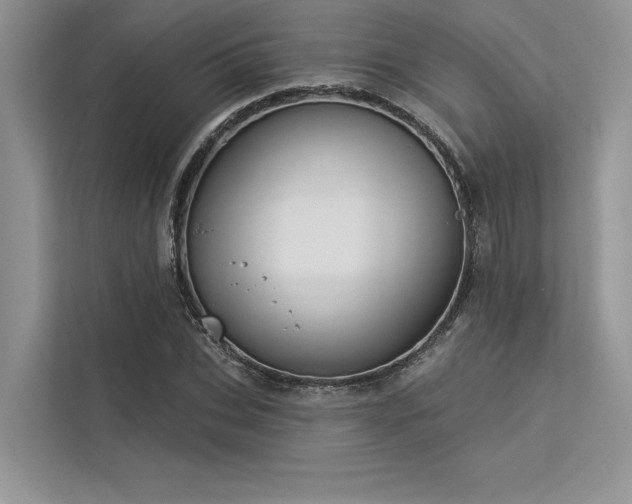 X0000113340927200909221120