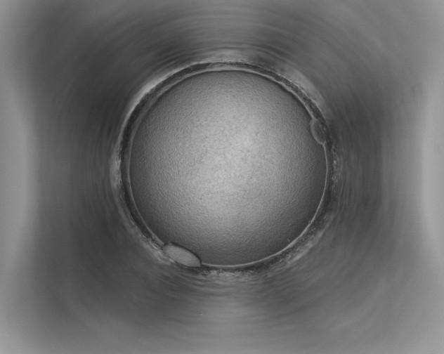 X0000113340928200909221120