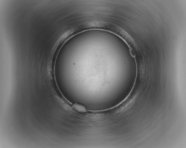 X0000113340930200909221120