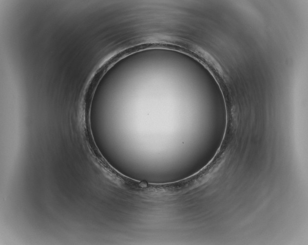 X0000113340931200909221120